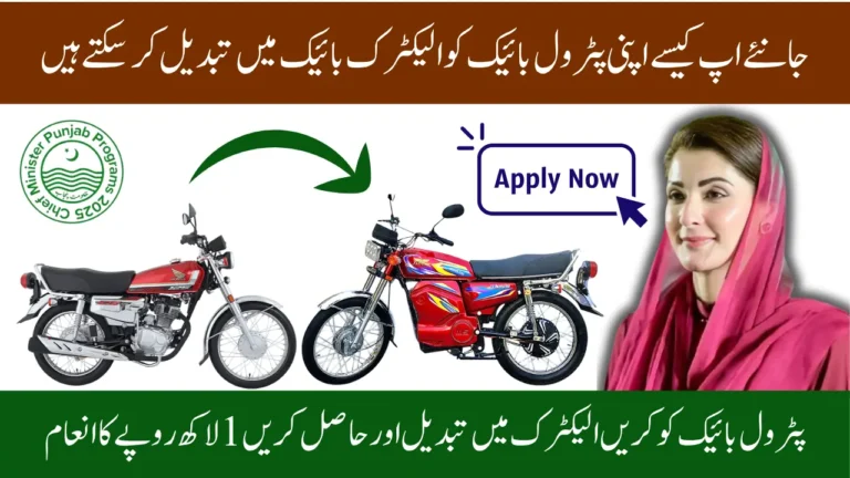 From Petrol to E-Bike Unlock Rs 100,000 with Punjab Green Credit Program - Full Detail