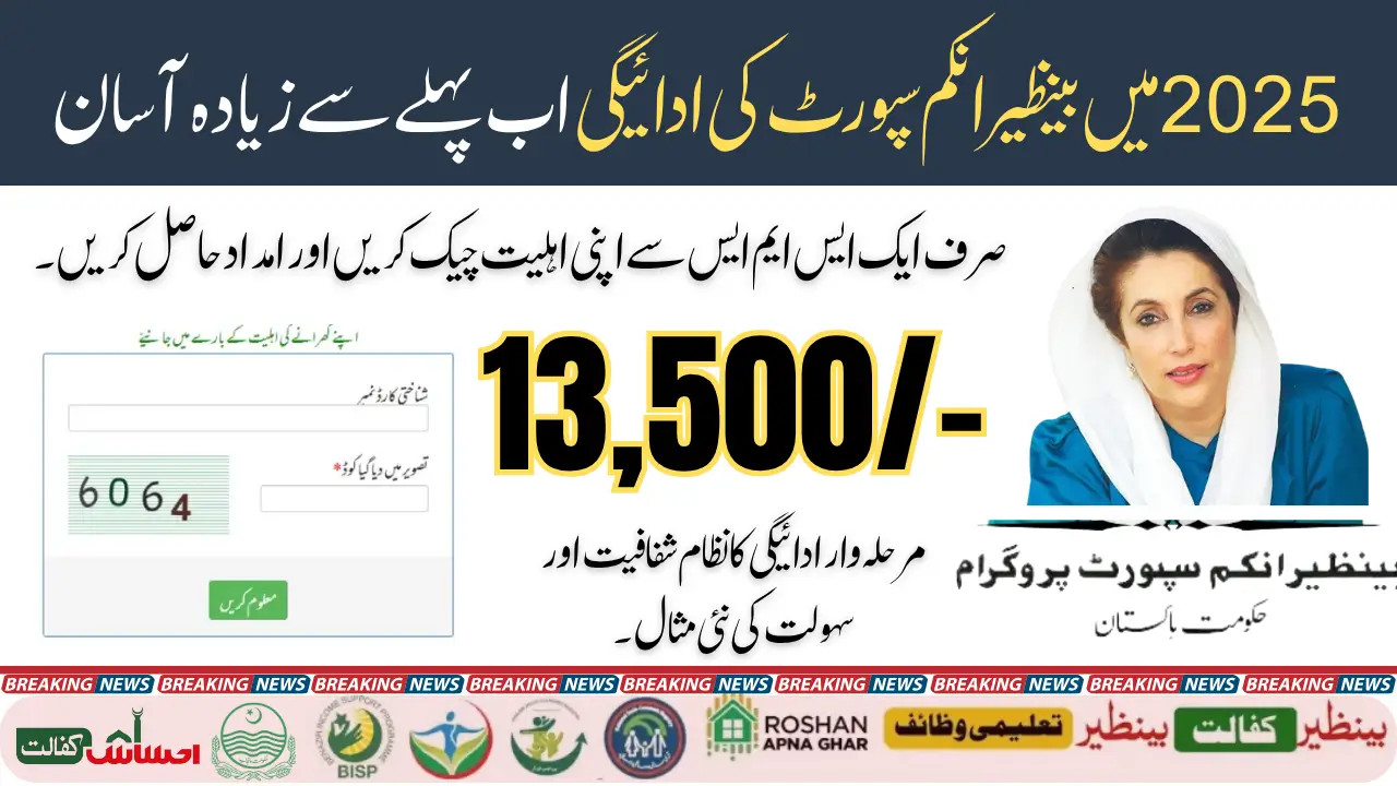 BISP 8171 SMS Service 2025 How Payments Are Released in 2025