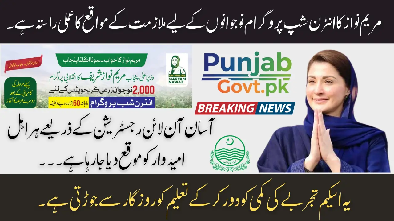 Maryam Nawaz Internship Program Eligibility Criteria Oct 2025