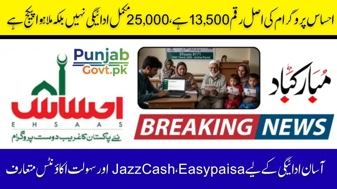 Ehsaas Program 25000 CNIC Check 2025 – Check New Oct Update