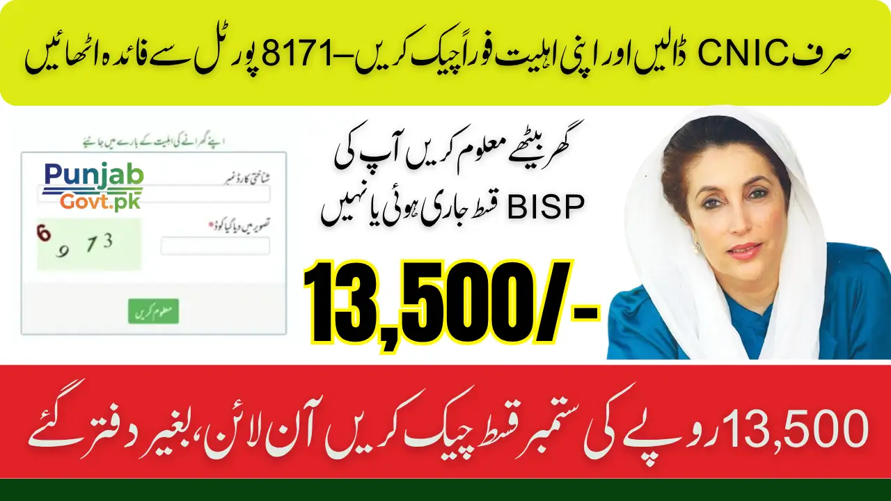 8171 Check Online CNIC 2025 Benazir Income Support Program A Complete Guide
