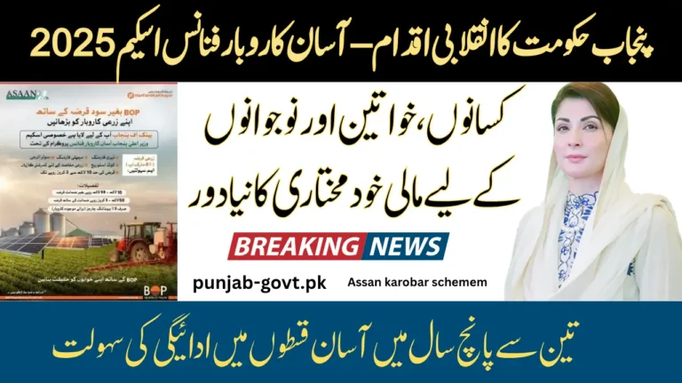 Government of Punjab Schemes Asaan Karobar Finance Scheme 2025