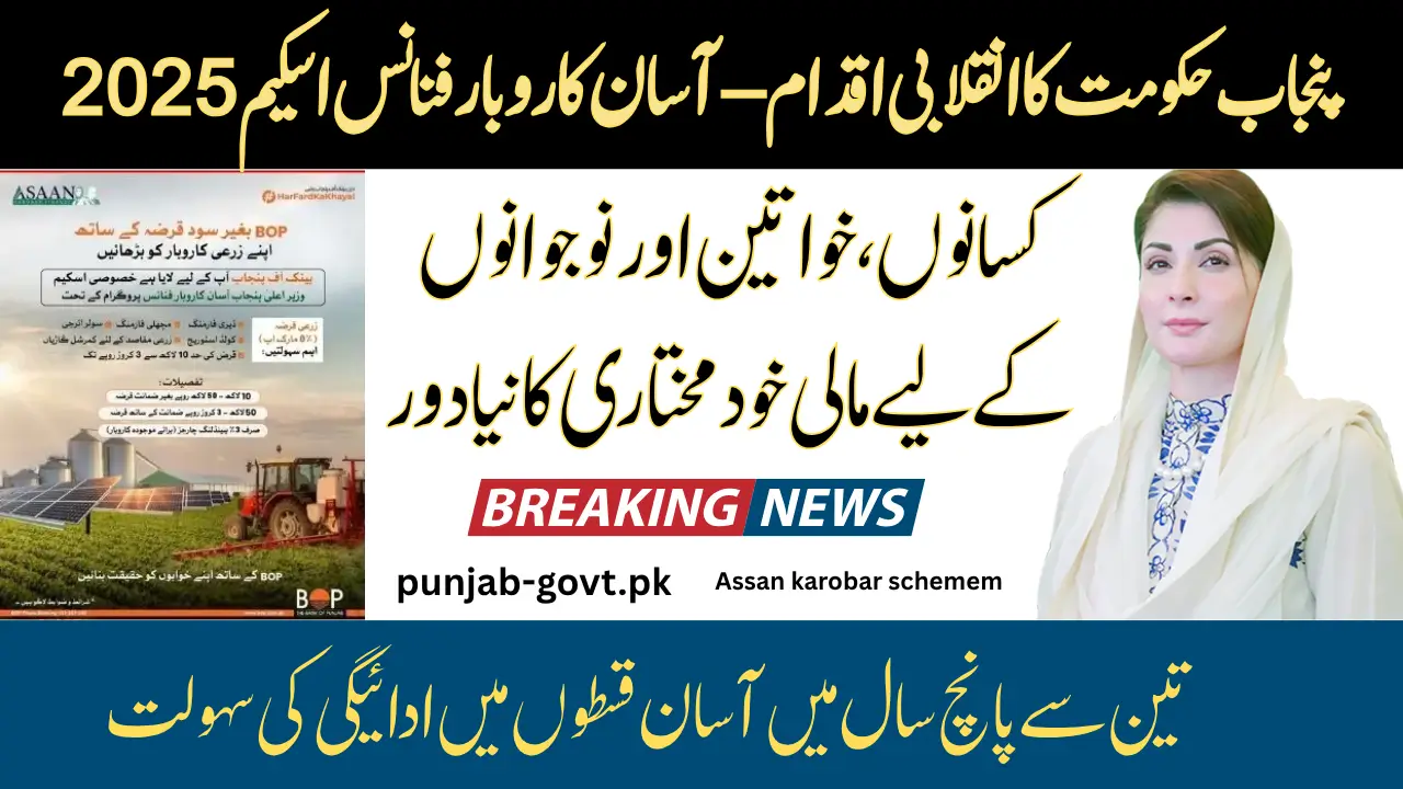 Government of Punjab Schemes Asaan Karobar Finance Scheme 2025