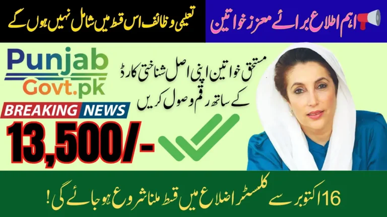 Benazir Income Support Program Check Important Information