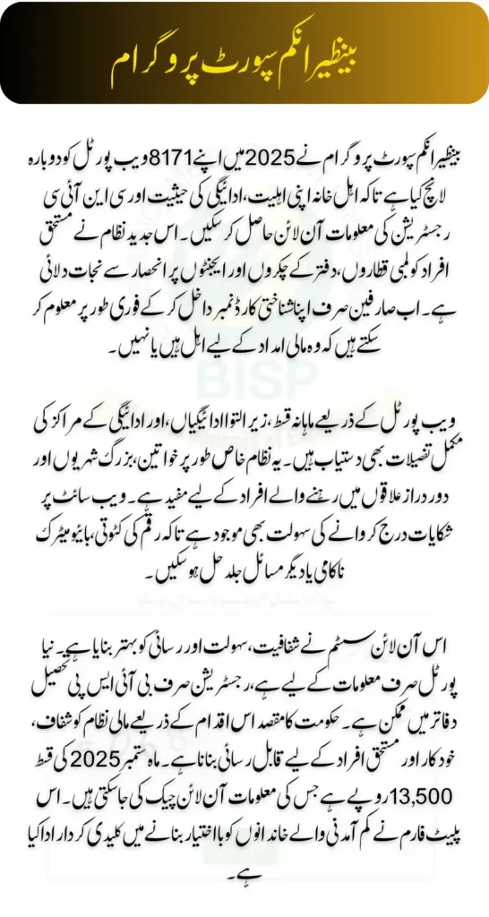 8171 Check Online CNIC 2025 Benazir Income Support Program A Complete Guide
