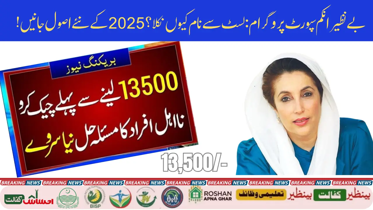 BISP Beneficiary Status Check 2025 Mazeed Details Check Krain