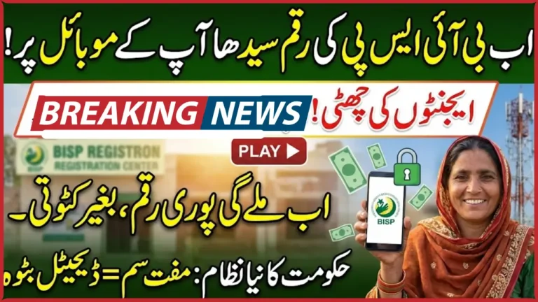 BISP Social Protection Wallets System Check Online