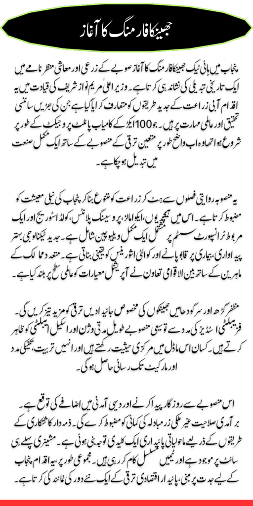 Punjab Launches High-Tech Shrimp Farming Alhamdulillah