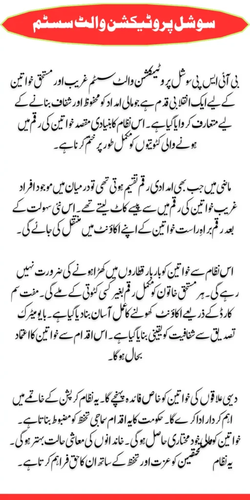 BISP Social Protection Wallets System Check Online